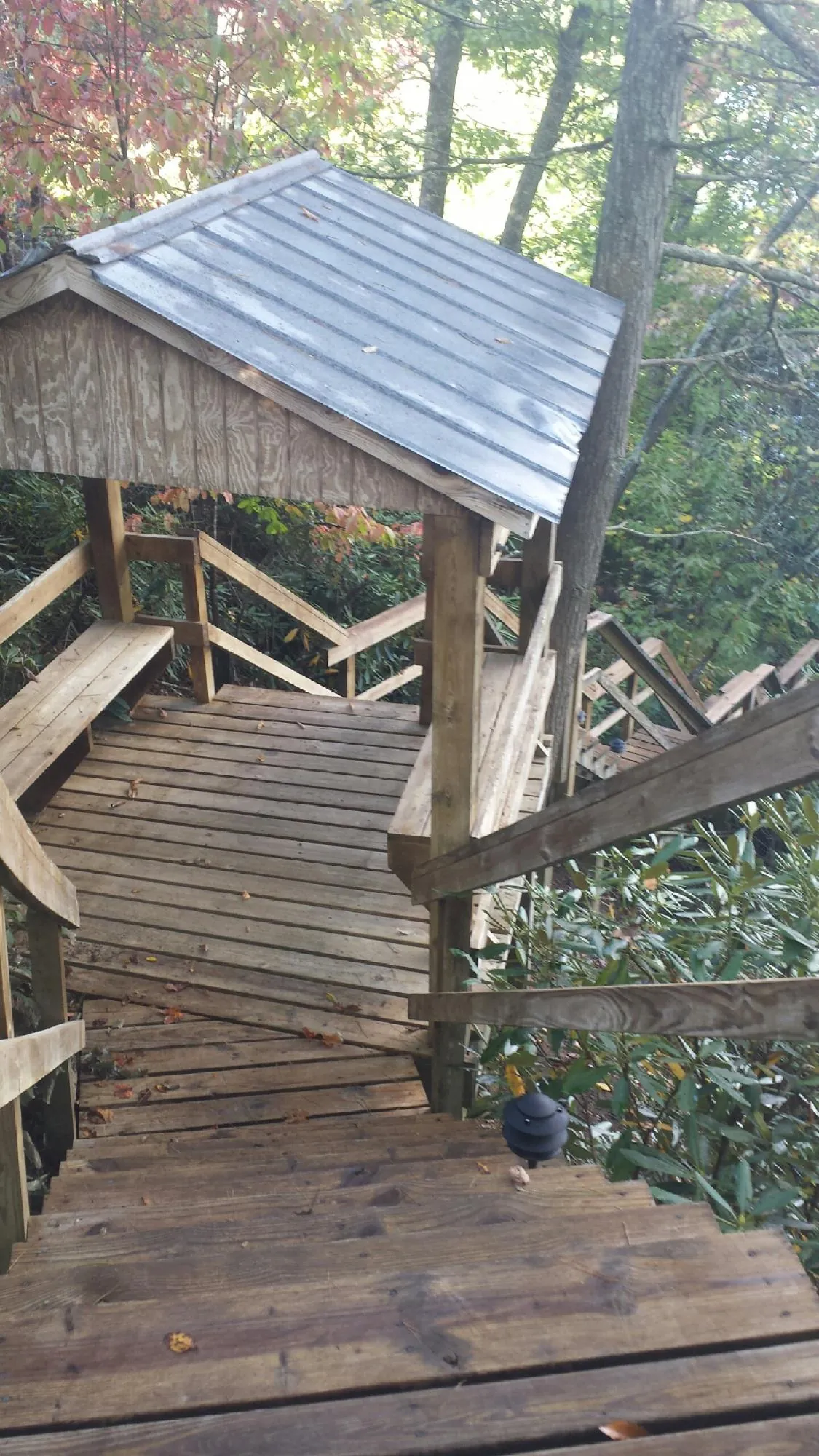 Metal roofed shelter over wooden steps on a wooded walkway — Skylight Repair & Installation work by our crew in Bridger